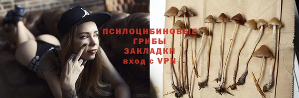 apvp Алексин