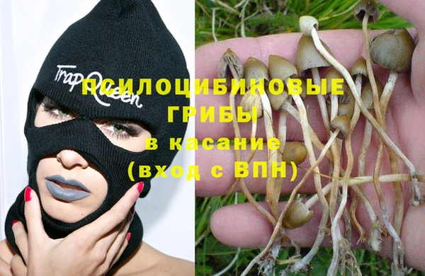 apvp Алексин