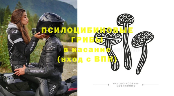 амф Алексеевка