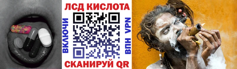 omg рабочий сайт  Бор  ЛСД экстази ecstasy  где продают  